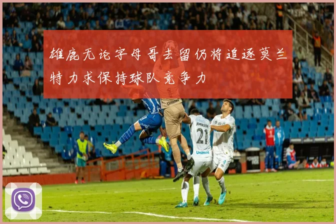 雄鹿无论字母哥去留仍将追逐莫兰特力求保持球队竞争力